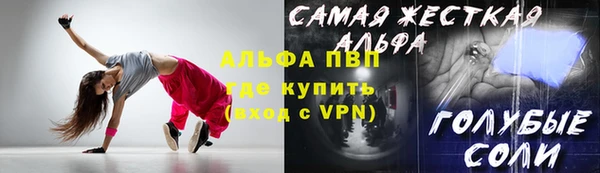 амф Верея