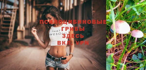 амф Верея